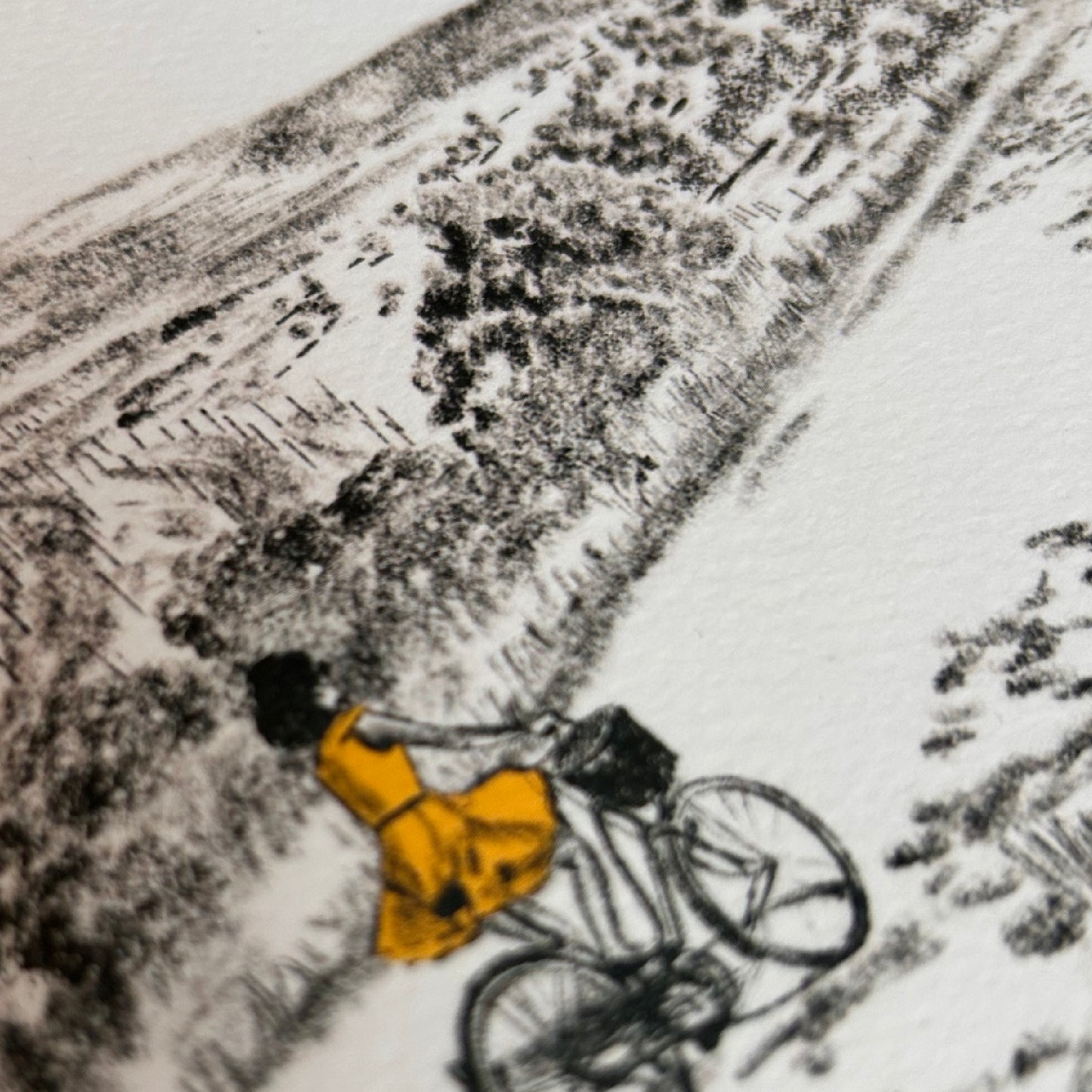 Bicla