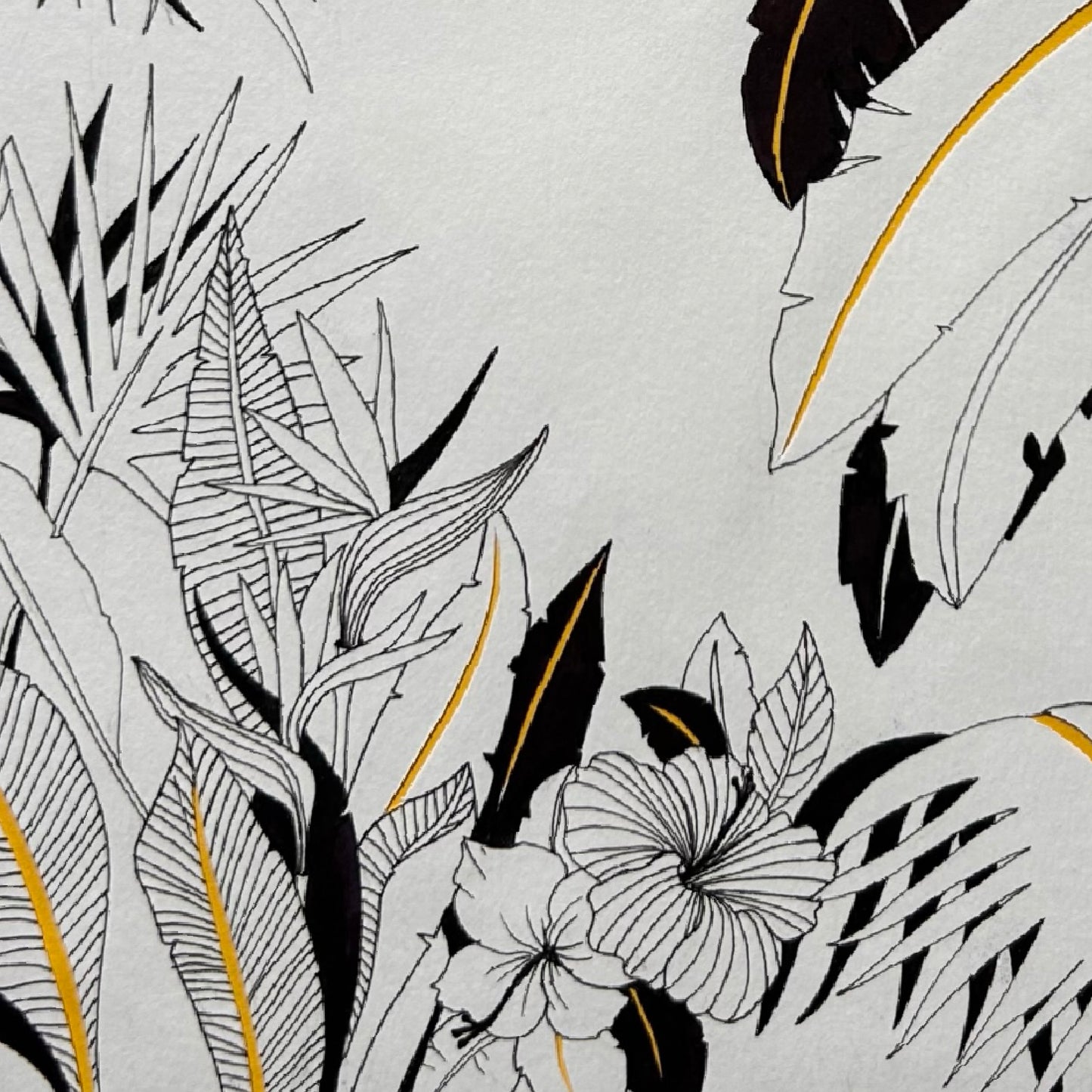 Tropical II