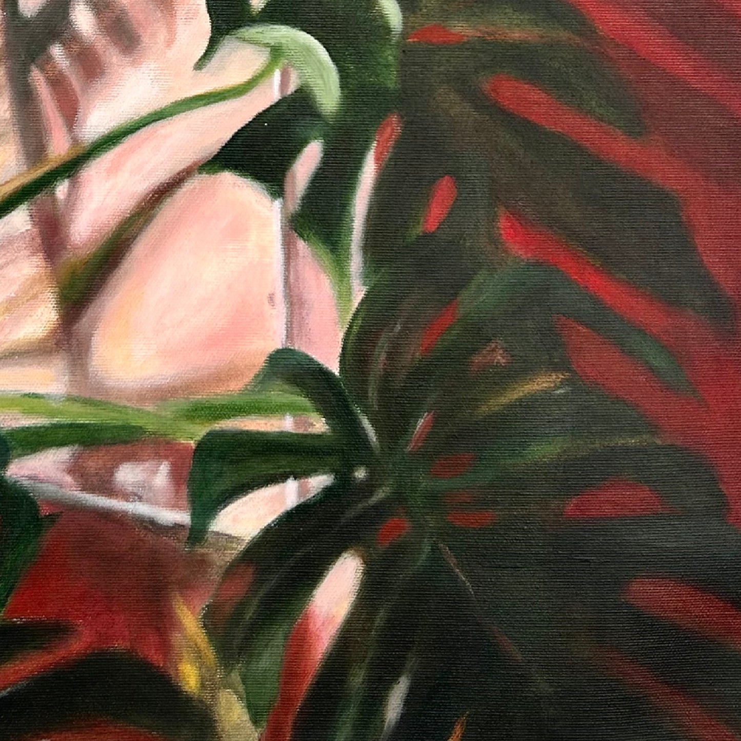 Monstera urbana