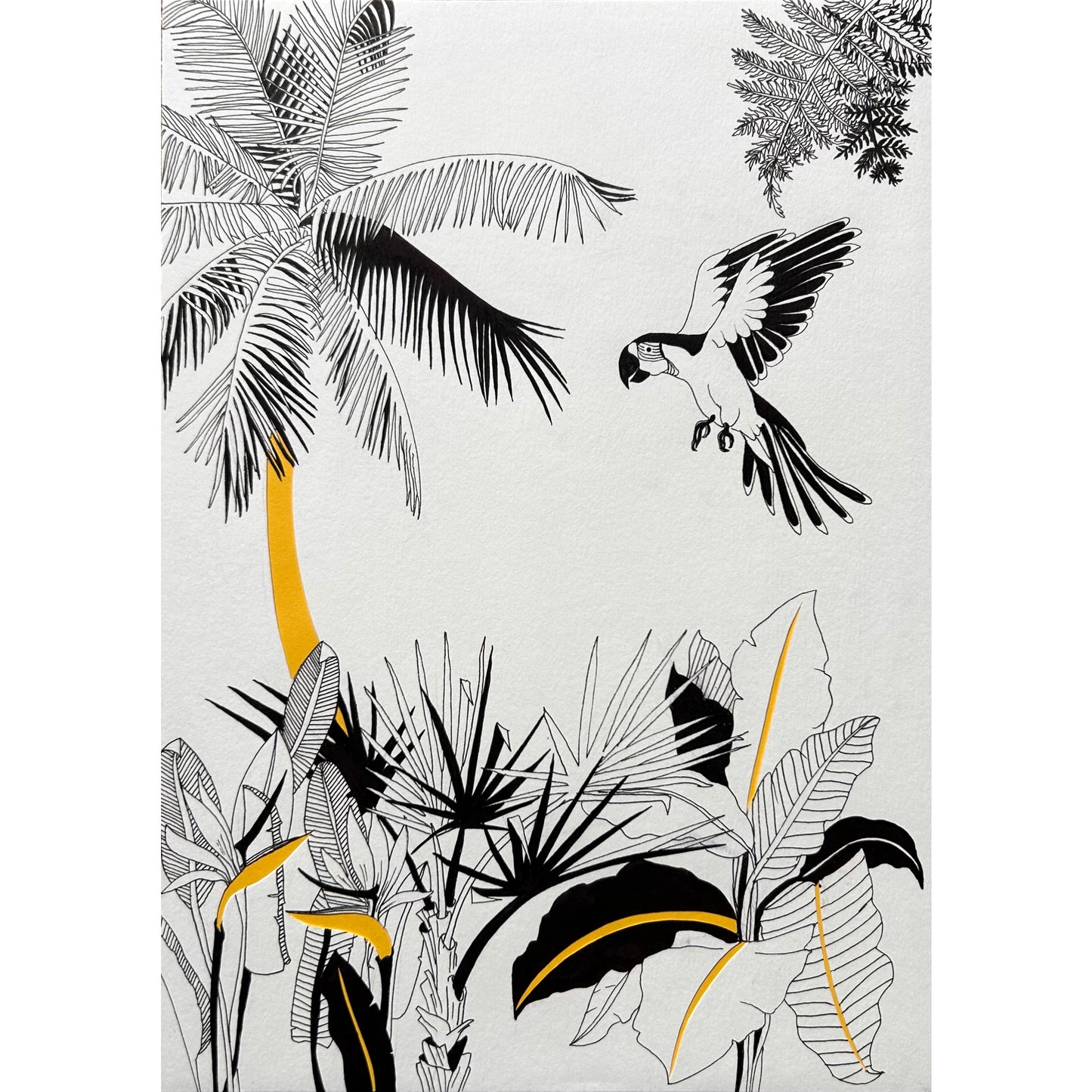 Tropical I
