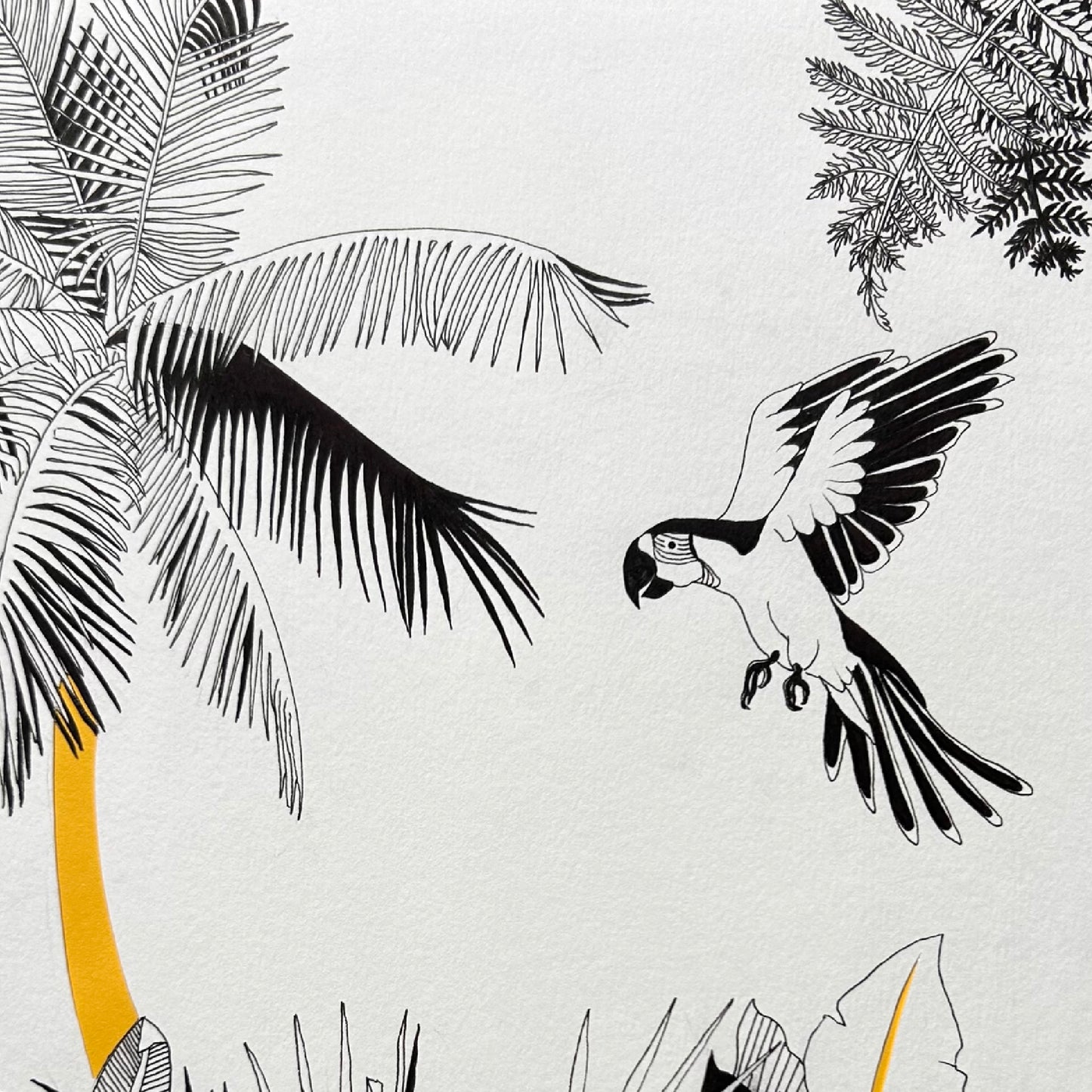 Tropical I