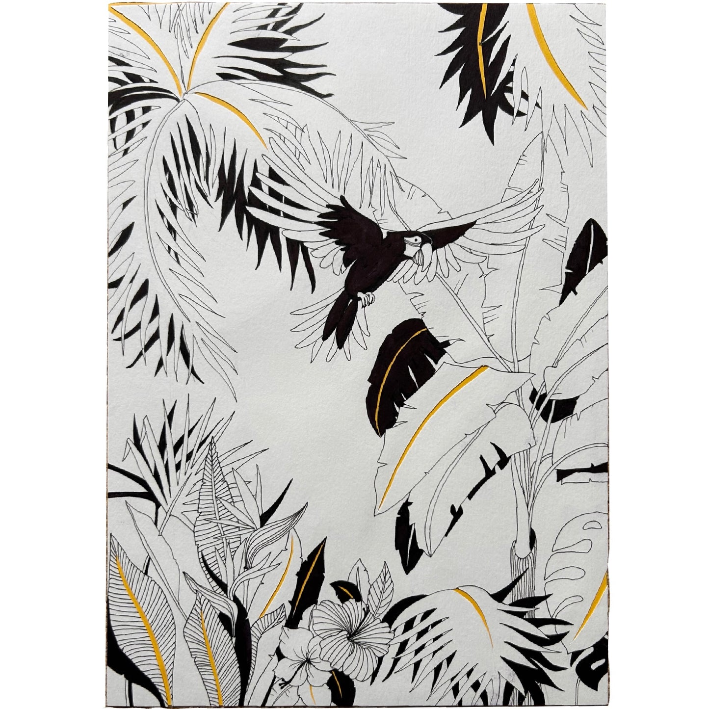 Tropical II