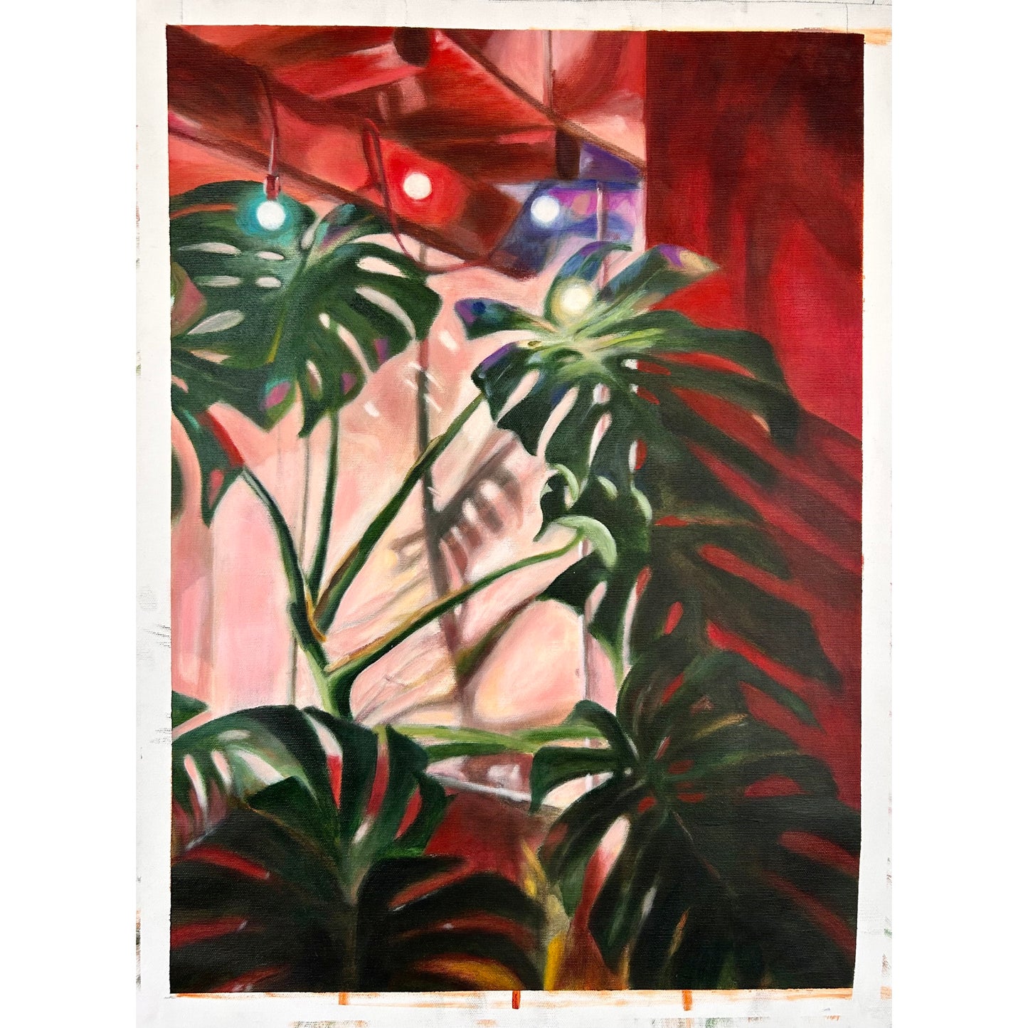 Monstera urbana