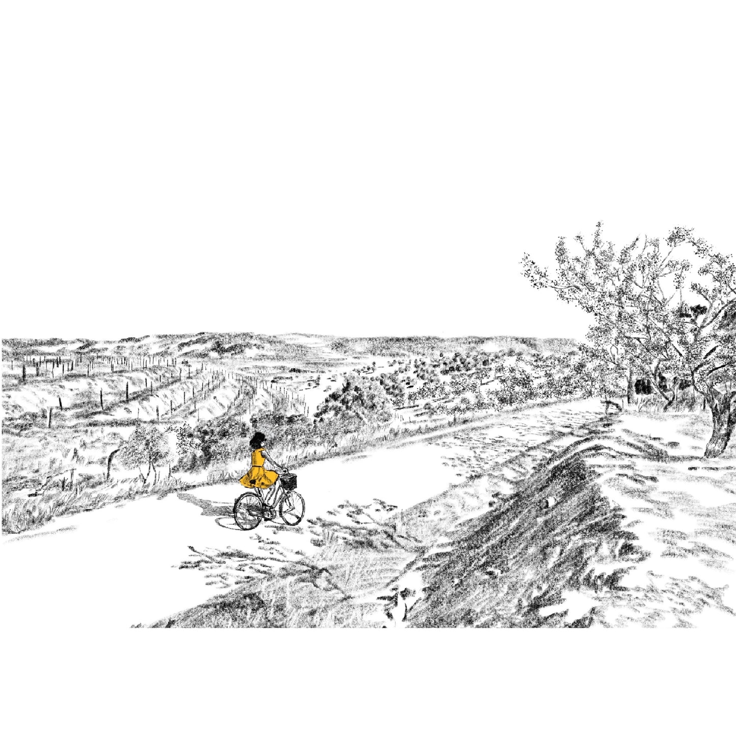 Bicla